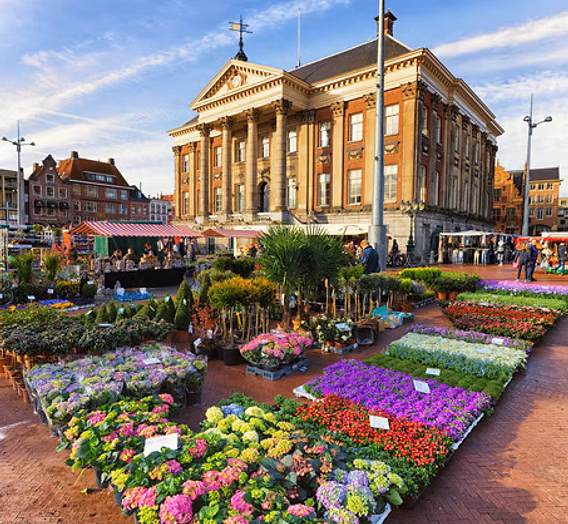 Stay in Groningen | Bloemenjaarmarkt