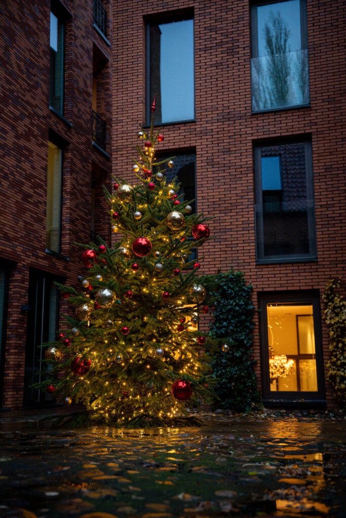 Kerst in Groningen | Hotel Miss Blanche