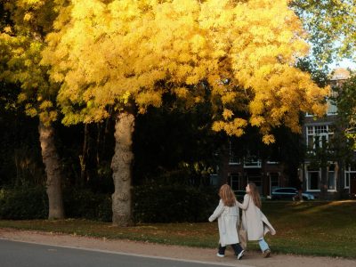 Wandelen in het Noorderplantsoen Groningen