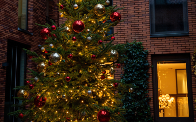 Kerst in Groningen Hotel Miss Blanche